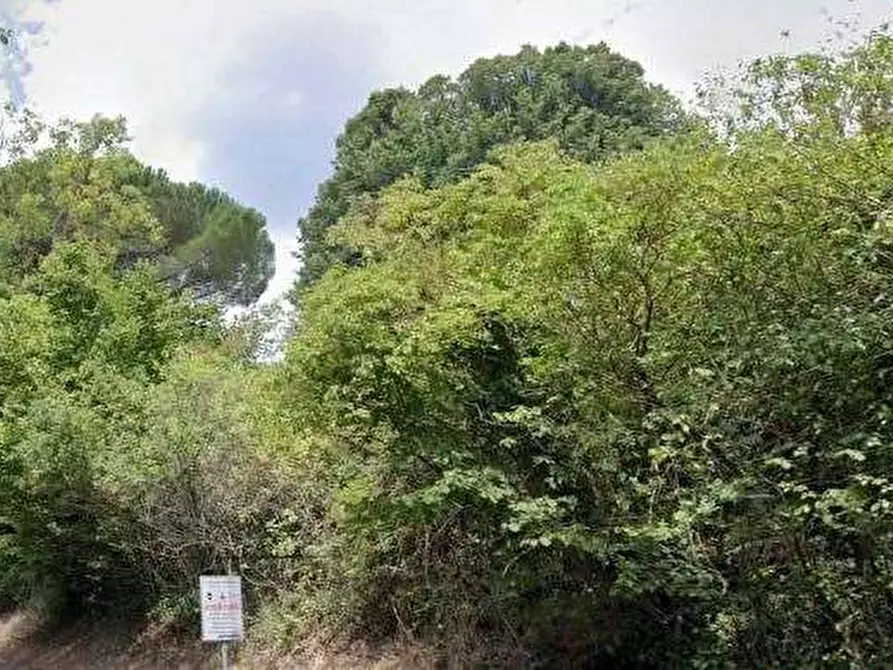 Immagine 1 di Terreno agricolo in vendita  in Via dei Laghi a Velletri