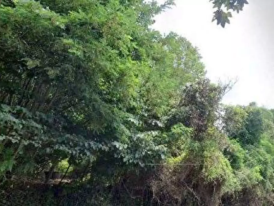 Immagine 2 di Terreno agricolo in vendita  in Via dei Laghi a Velletri