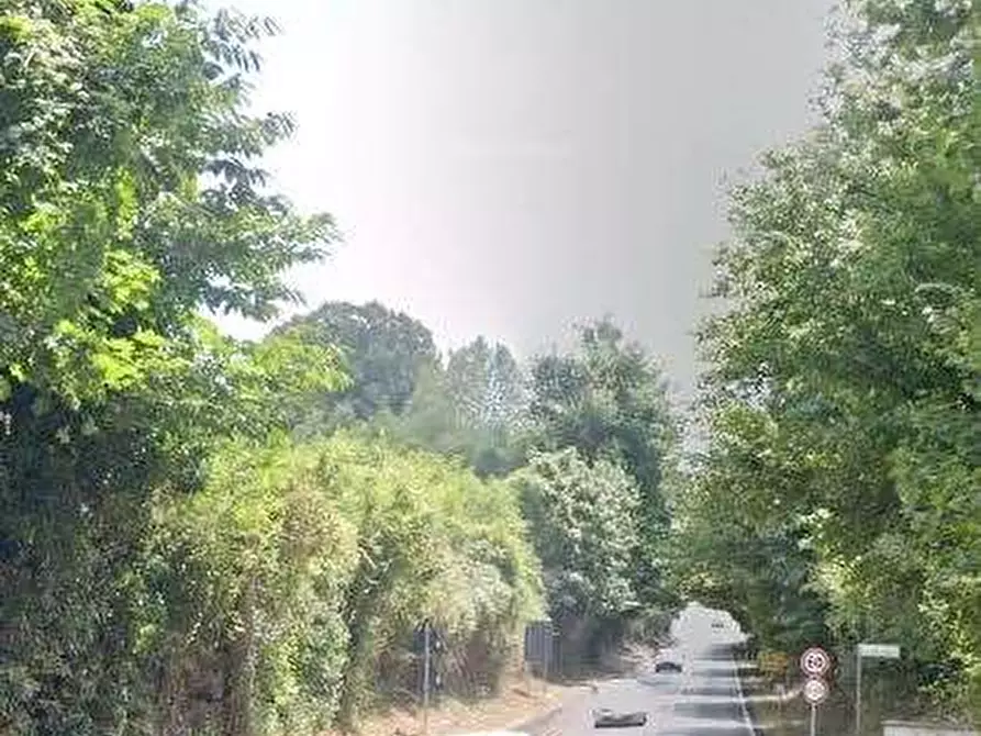 Immagine 4 di Terreno agricolo in vendita  in Via dei Laghi a Velletri