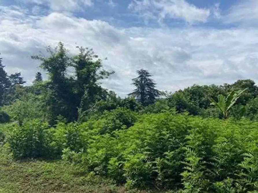 Immagine 1 di Terreno agricolo in vendita  in Via dei Laghi a Velletri
