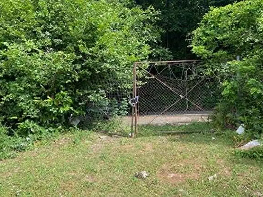 Immagine 2 di Terreno agricolo in vendita  in Via dei Laghi a Velletri
