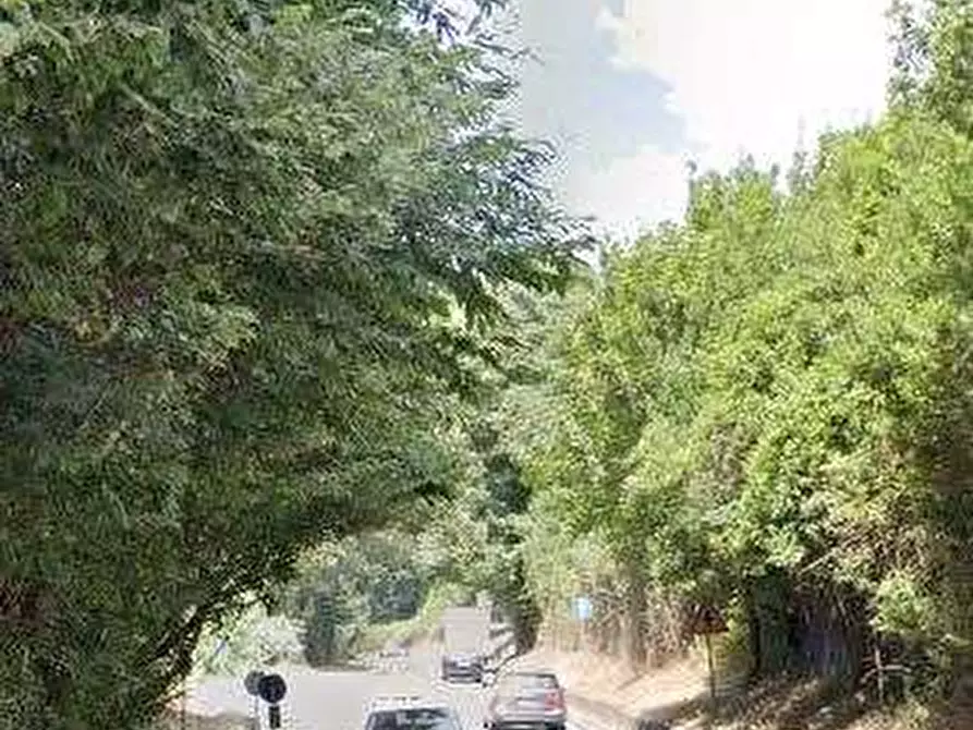 Immagine 3 di Terreno agricolo in vendita  in Via dei Laghi a Velletri