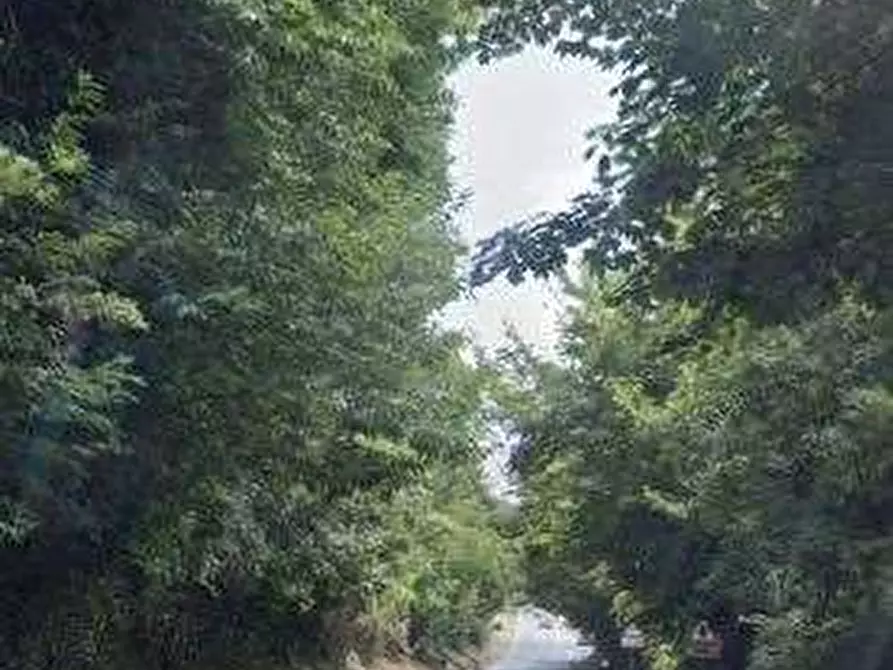Immagine 5 di Terreno agricolo in vendita  in Via dei Laghi a Velletri