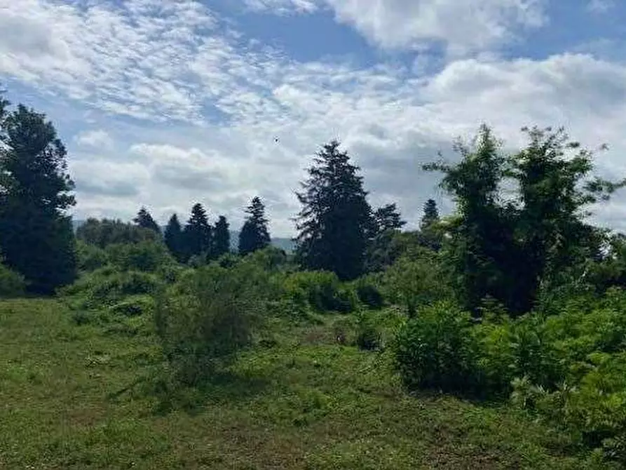 Immagine 11 di Terreno agricolo in vendita  in Via dei Laghi a Velletri