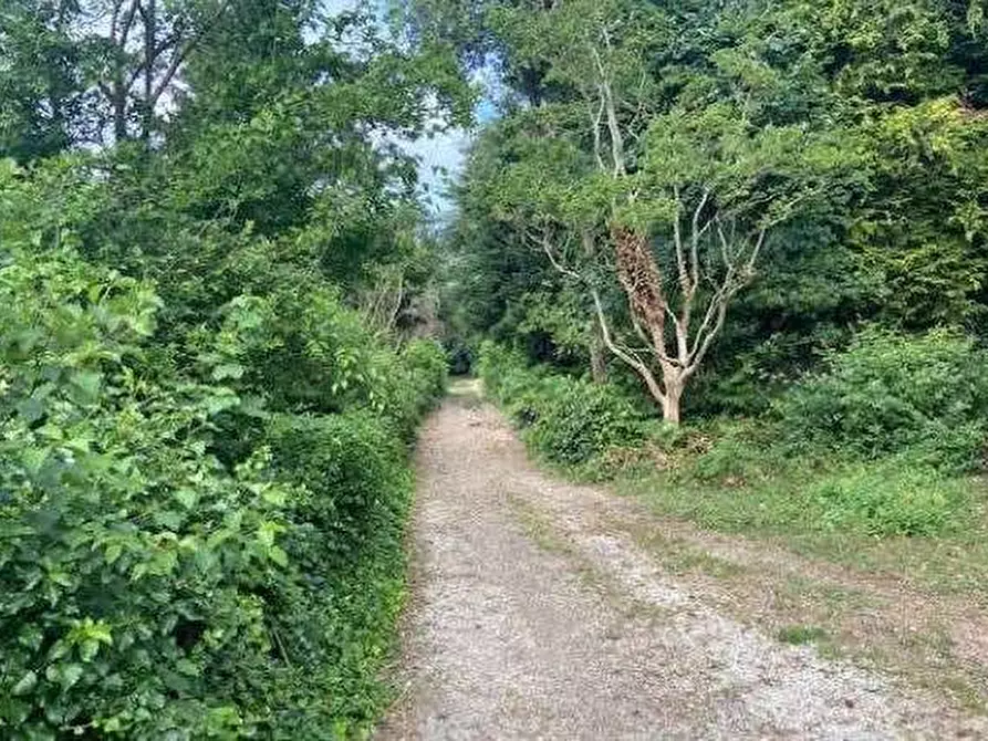 Immagine 12 di Terreno agricolo in vendita  in Via dei Laghi a Velletri