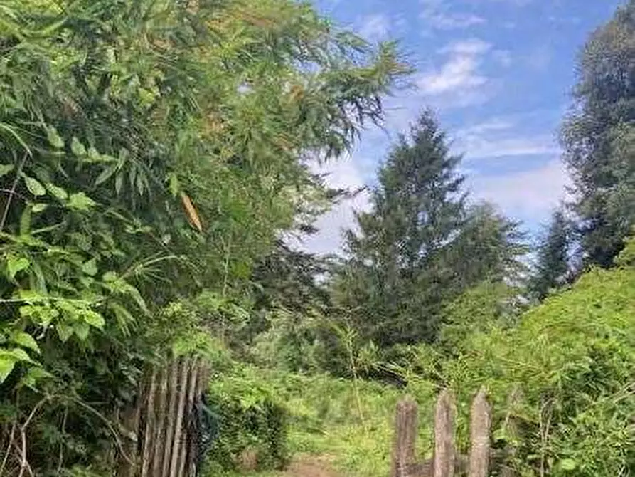 Immagine 13 di Terreno agricolo in vendita  in Via dei Laghi a Velletri