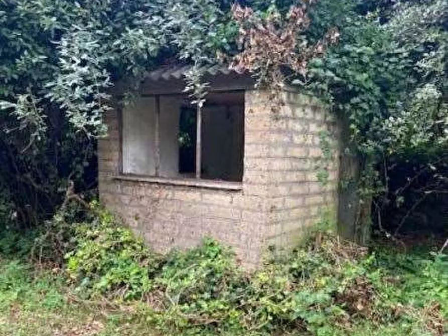 Immagine 14 di Terreno agricolo in vendita  in Via dei Laghi a Velletri