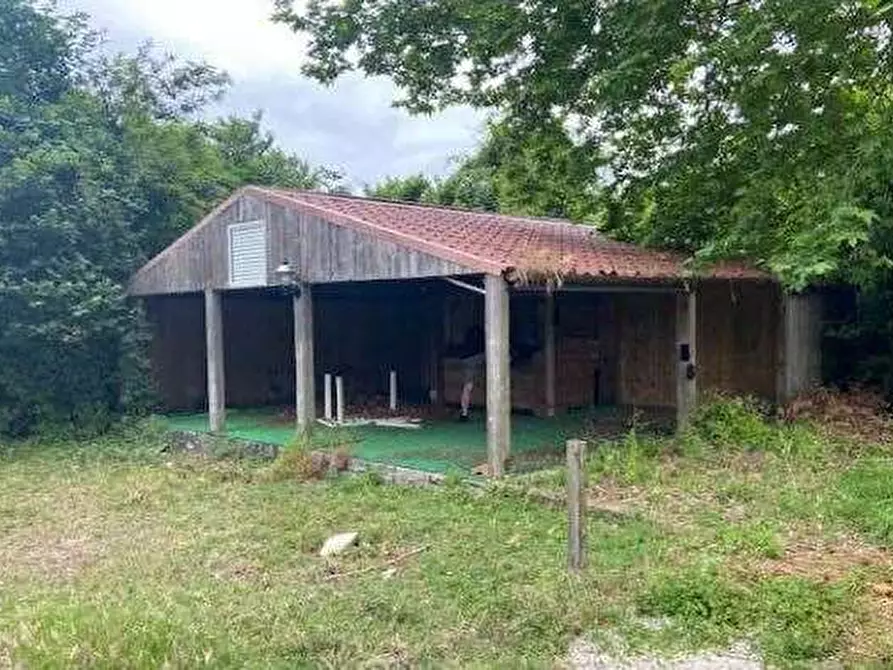 Immagine 17 di Terreno agricolo in vendita  in Via dei Laghi a Velletri
