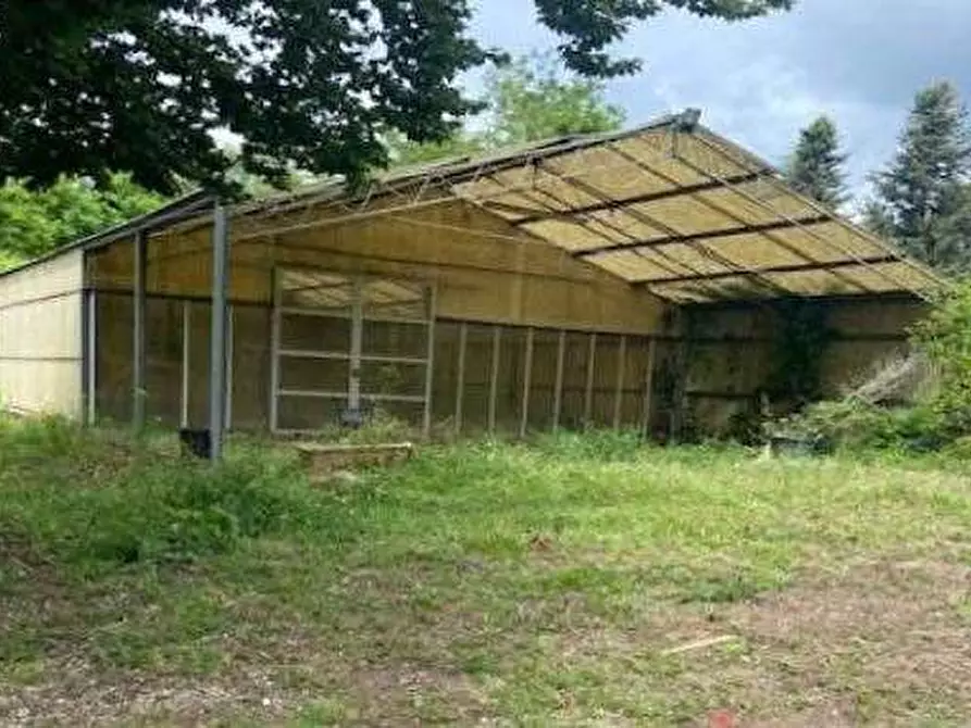 Immagine 18 di Terreno agricolo in vendita  in Via dei Laghi a Velletri