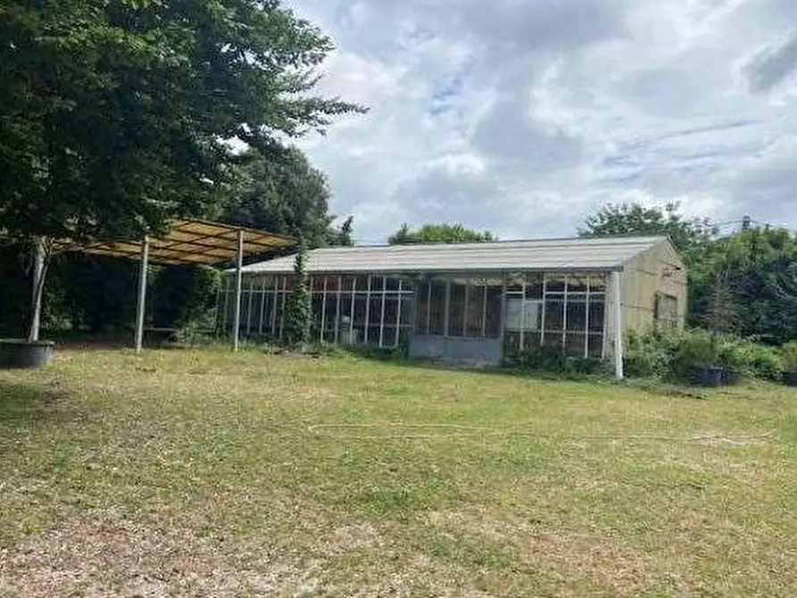 Immagine 19 di Terreno agricolo in vendita  in Via dei Laghi a Velletri