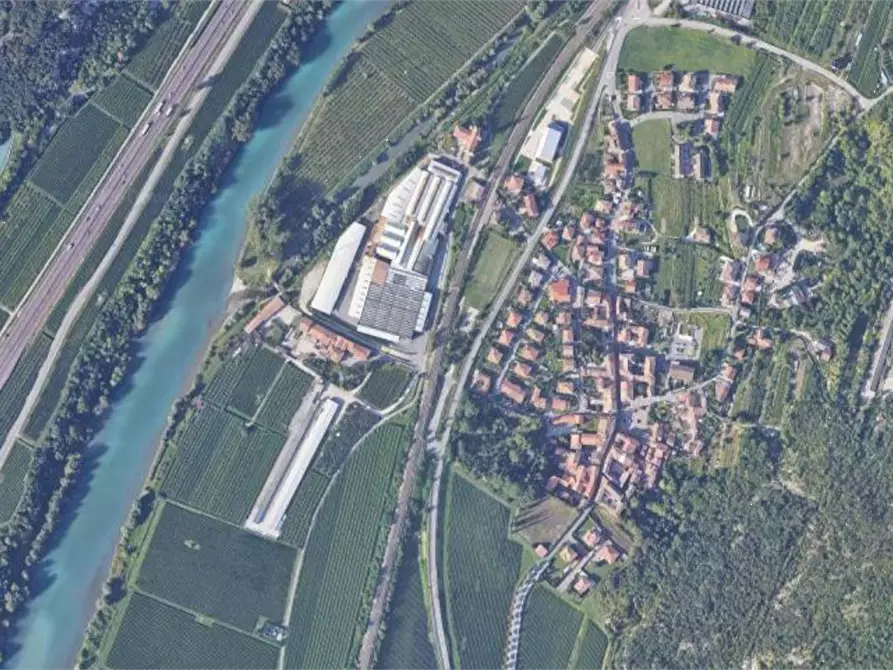 Immagine 7 di Terreno agricolo in vendita  in Via molino  a Dolcè