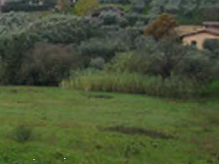 Immagine 4 di Terreno edificabile in vendita  in Via della Caranella a Velletri