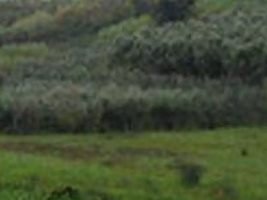 Immagine 5 di Terreno edificabile in vendita  in Via della Caranella a Velletri