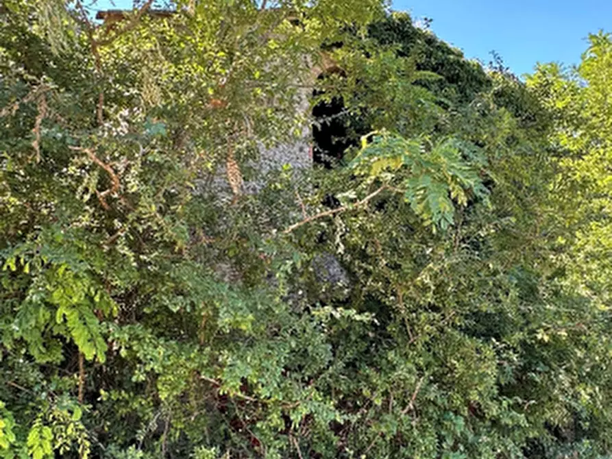 Immagine 10 di Rustico / casale in vendita  in Via Cassia per Siena a San Casciano In Val Di Pesa