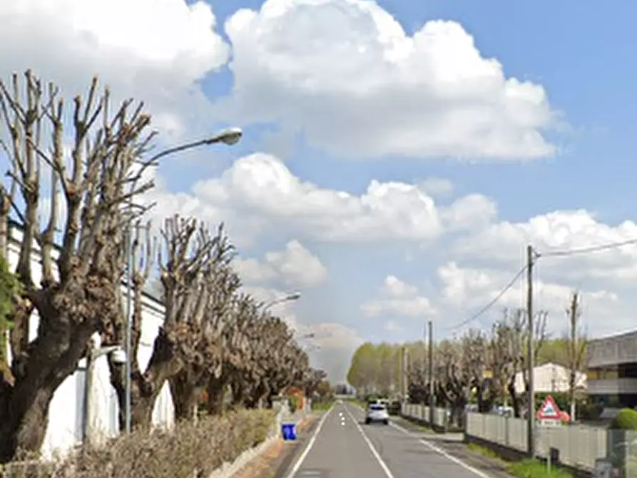 Immagine 5 di Porzione di casa in vendita  in Strada Provinciale per Golese  a Torrile