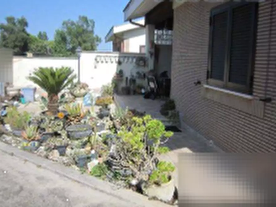 Immagine 10 di Appartamento in vendita  in Via Saturno  a Nettuno