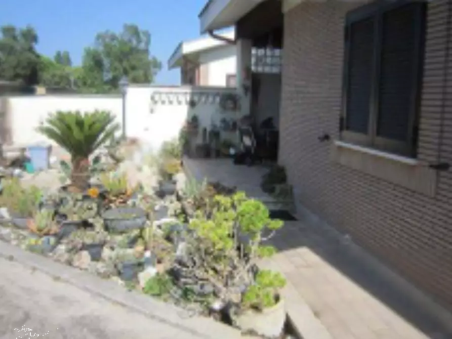 Immagine 2 di Appartamento in vendita  in Via Saturno  a Nettuno