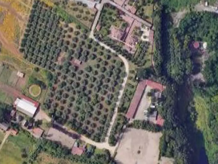 Immagine 11 di Ufficio in vendita  in Via Appia Vecchia a Genzano Di Roma