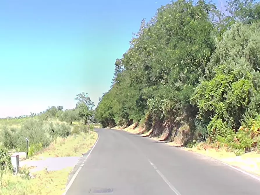 Immagine 7 di Magazzino in vendita  in Via Appia Vecchia a Genzano Di Roma