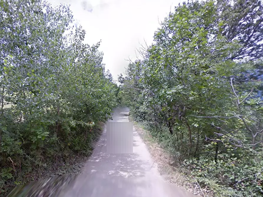 Immagine 12 di Rustico / casale in vendita  in via Banda a Villar Focchiardo