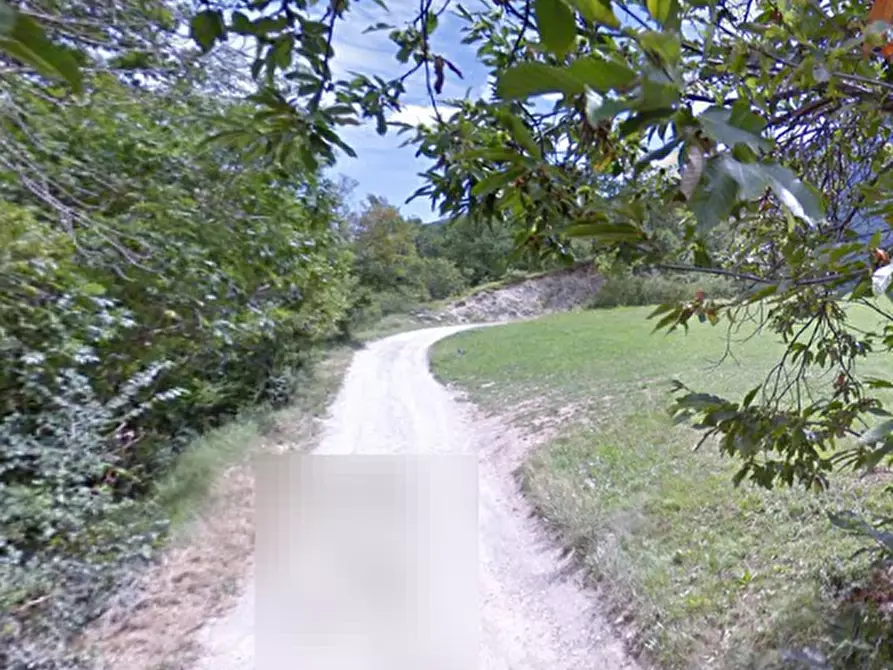 Immagine 13 di Rustico / casale in vendita  in via Banda a Villar Focchiardo