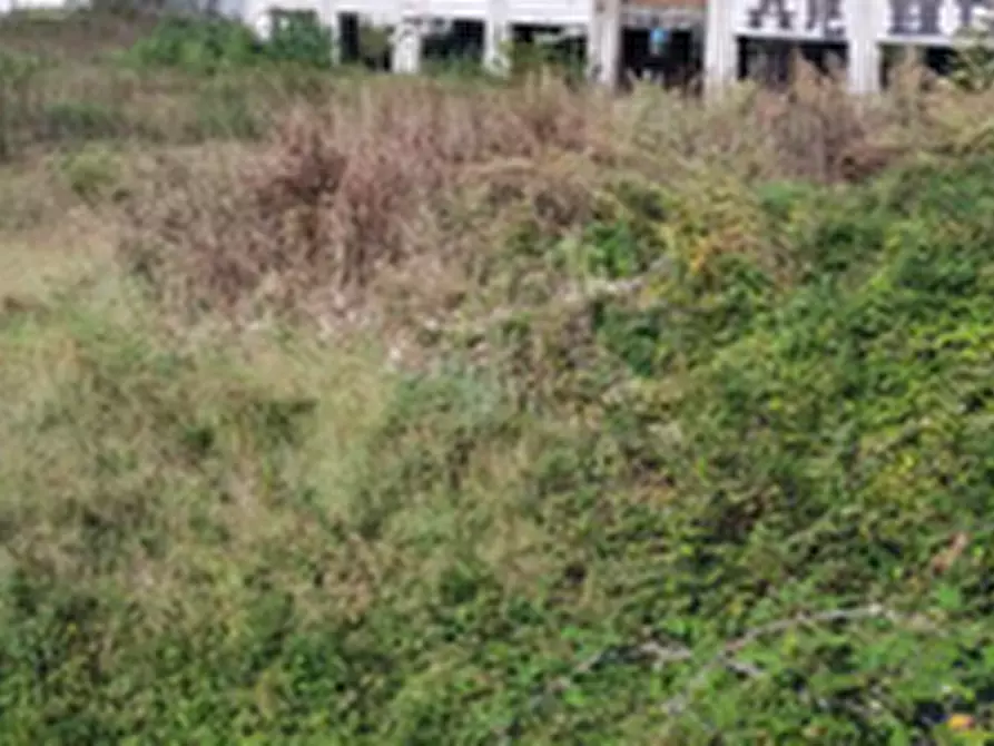 Immagine 7 di Terreno agricolo in vendita  in Via Alpini a Urgnano