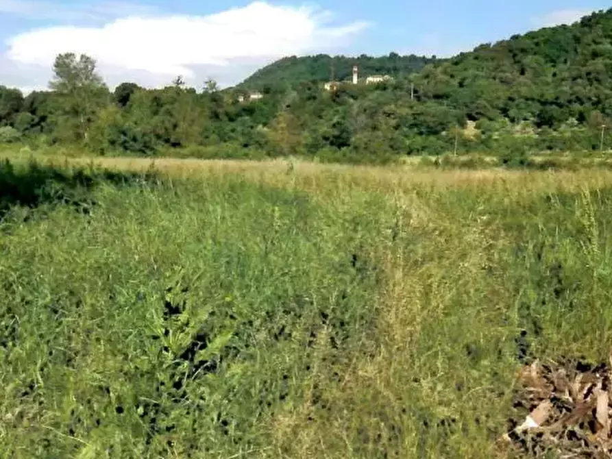 Immagine 4 di Terreno edificabile in vendita  in Localita' Tramonte a Teolo