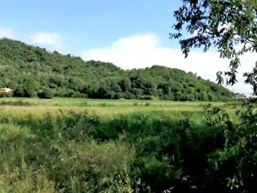 Immagine 6 di Terreno edificabile in vendita  in Localita' Tramonte a Teolo