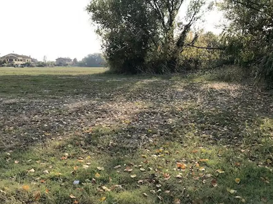 Immagine 2 di Terreno edificabile in vendita  in Località Budrio a Budrio