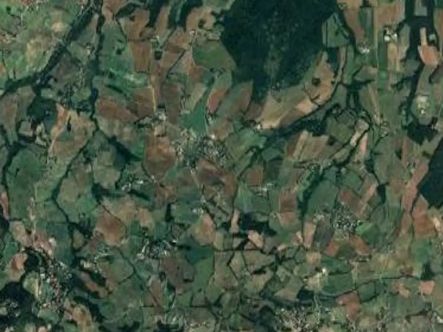 Immagine 7 di Rustico / casale in vendita  in Località Sisera a Gazzola