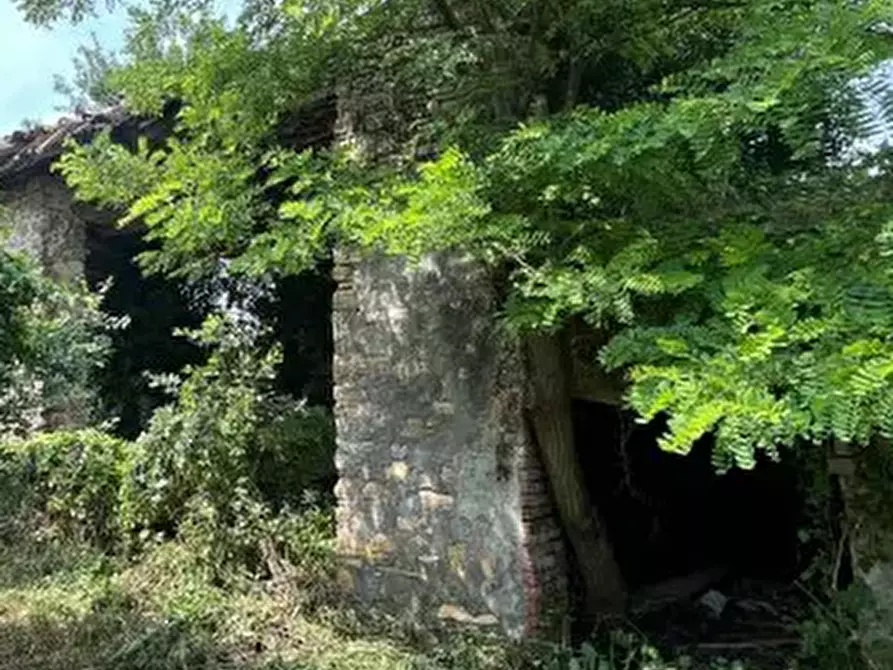 Immagine 11 di Rustico / casale in vendita  in Località Sisera a Gazzola