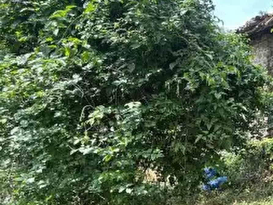 Immagine 13 di Rustico / casale in vendita  in Località Sisera a Gazzola