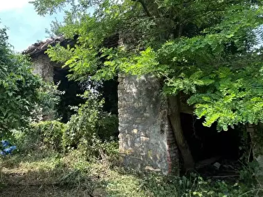 Immagine 15 di Rustico / casale in vendita  in Località Sisera a Gazzola