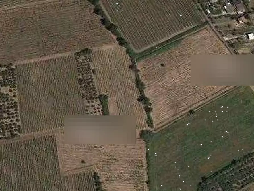 Immagine 1 di Terreno agricolo in vendita  in Località Marmorelle a Roma