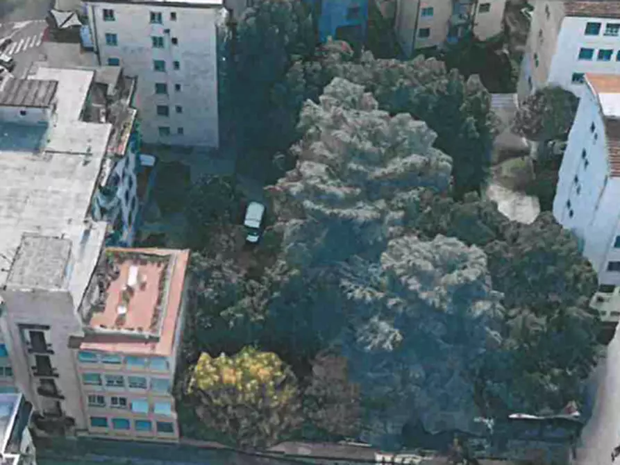 Immagine 16 di Terreno agricolo in vendita  in Via Adelaide Ristori a Firenze