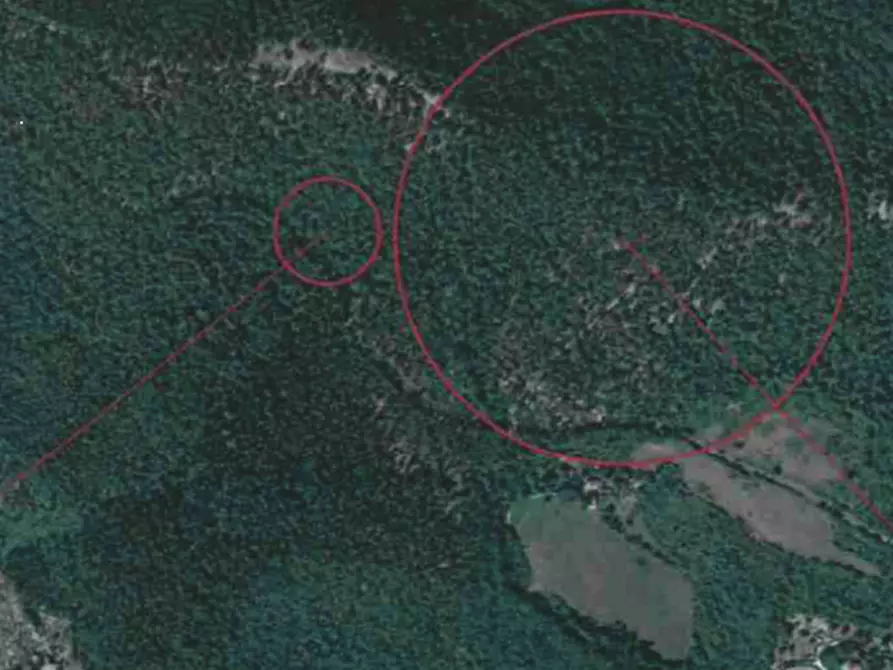 Immagine 1 di Terreno agricolo in vendita  in Via della Buca della Neve a Sesto Fiorentino