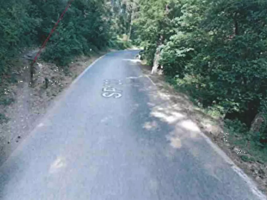 Immagine 2 di Terreno agricolo in vendita  in Via della Buca della Neve a Sesto Fiorentino
