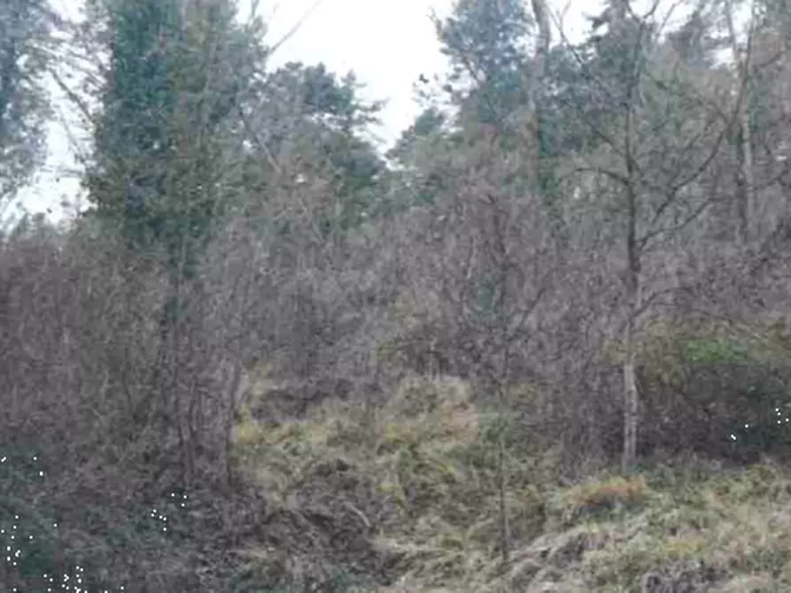 Immagine 3 di Terreno agricolo in vendita  in Via della Buca della Neve a Sesto Fiorentino