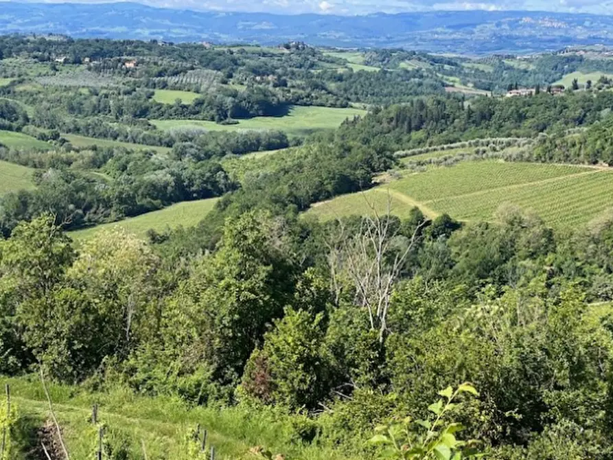 Immagine 3 di Terreno agricolo in vendita  in Via Lucardese a Montespertoli