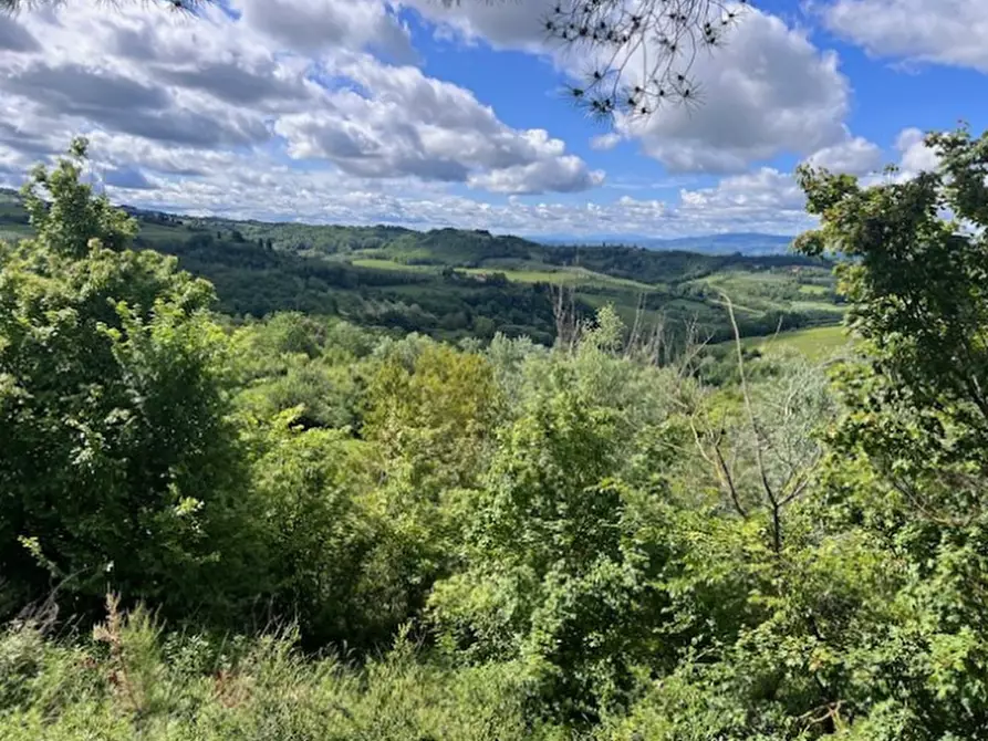 Immagine 6 di Terreno agricolo in vendita  in Via Lucardese a Montespertoli