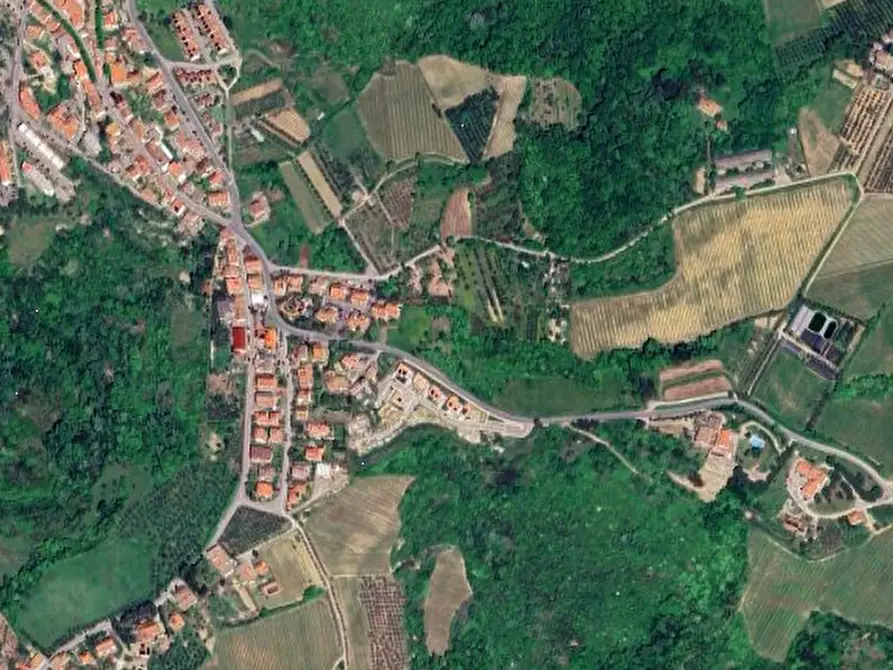 Immagine 11 di Terreno agricolo in vendita  in Via Lucardese a Montespertoli