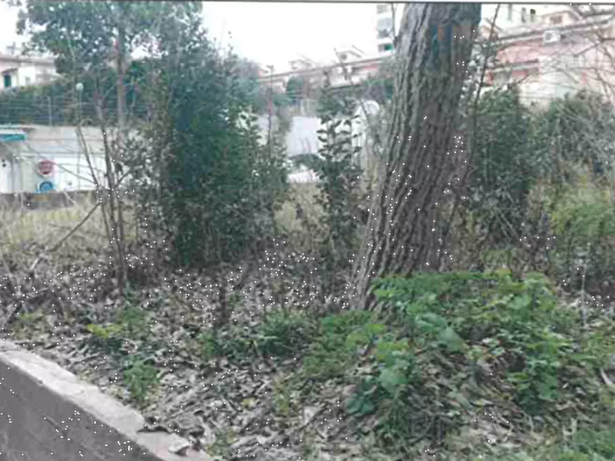 Immagine 2 di Terreno agricolo in vendita  in Via Lungo L'affrico a Firenze