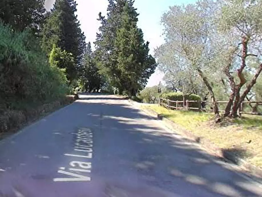 Immagine 8 di Terreno agricolo in vendita  in Via Lucardese a Montespertoli