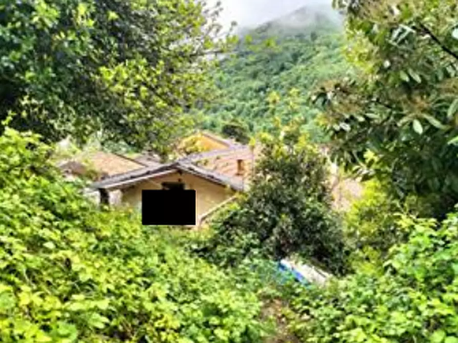 Immagine 2 di Stabile in vendita  in Via Valle a Valbrona