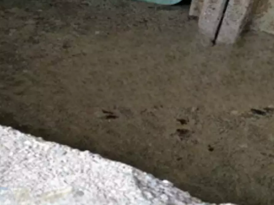 Immagine 5 di Capannone industriale in vendita  in Località Prevalle a Prevalle