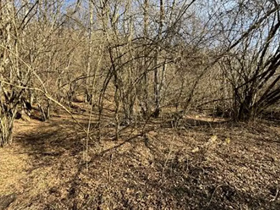 Immagine 2 di Terreno agricolo in vendita  in Frazione Località Fusinetta a Cassina Valsassina