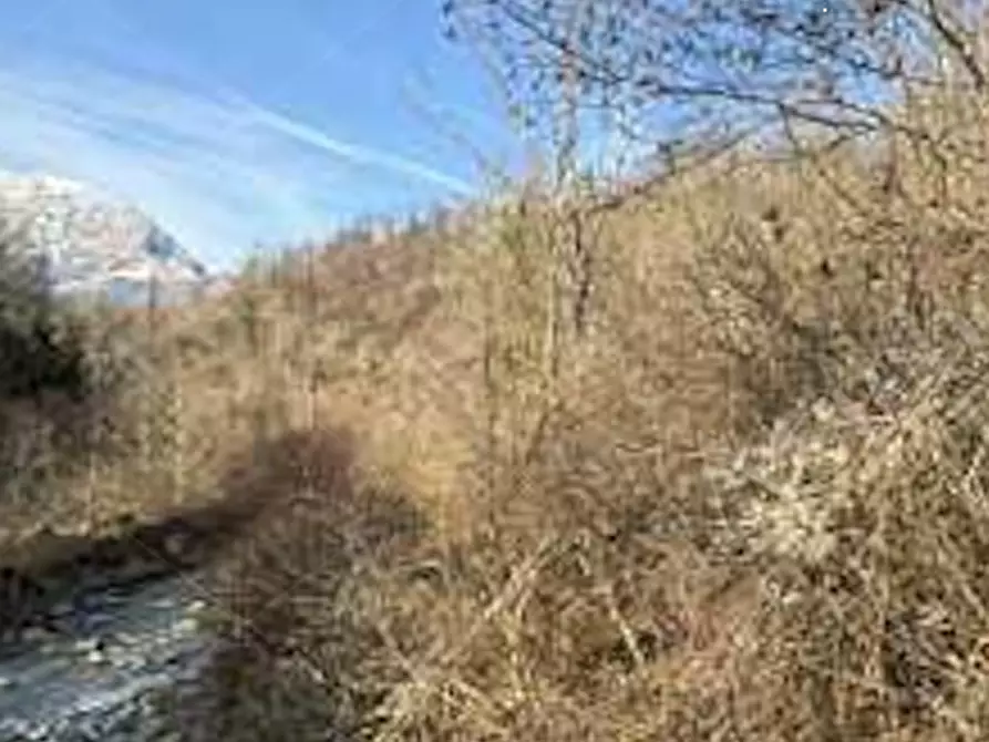 Immagine 3 di Terreno agricolo in vendita  in Frazione Località Fusinetta a Cassina Valsassina