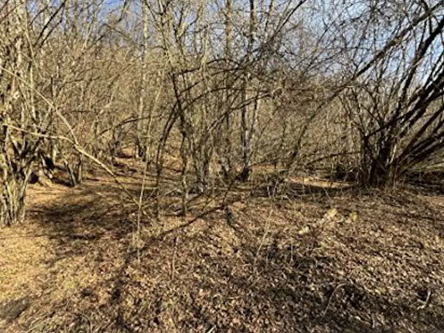 Immagine 5 di Terreno agricolo in vendita  in Frazione Località Fusinetta a Cassina Valsassina