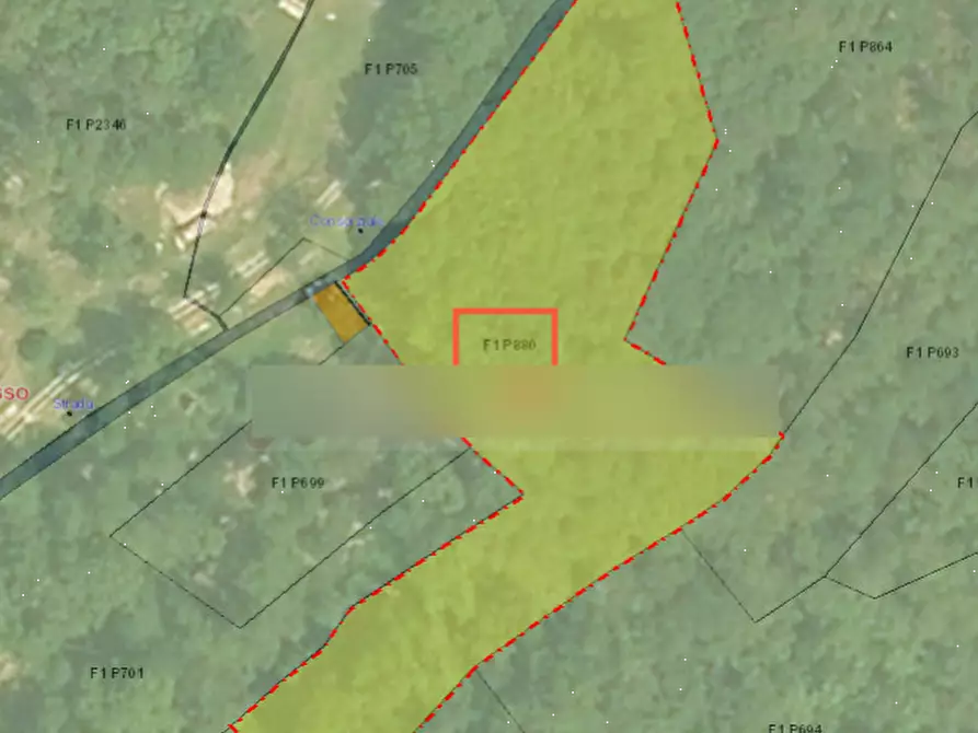 Immagine 13 di Terreno agricolo in vendita  in località Asso a Asso