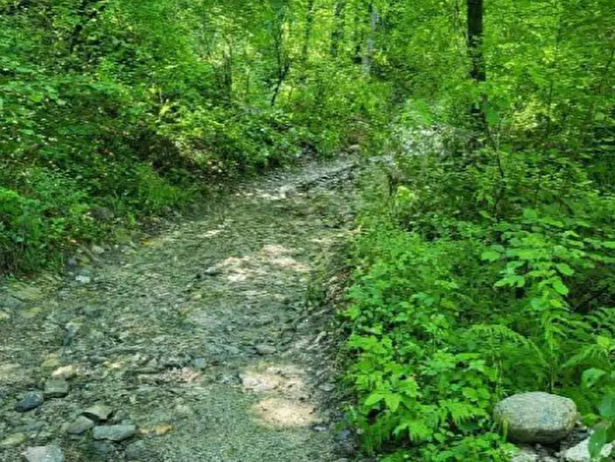 Immagine 1 di Terreno agricolo in vendita  in Via Ronco Praderigo a Olginate
